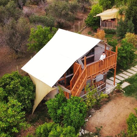 Ciriga Sicily Glamping Resort 산타 마리아 델 포칼로 외부 사진